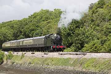 Steam train running along the banks of the River Dart, Devon, UK.