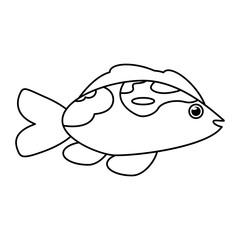 Fish animal cartoon icon. Sea life ecosystem fauna and ocean theme. Isolated and silhouette design. Vector illustration