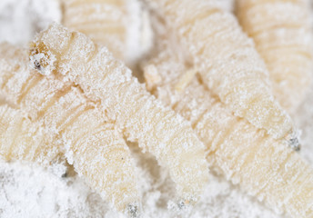 maggot in flour. macro