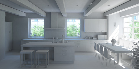 Fototapeta na wymiar 3D Interior rendering of a modern kitchen