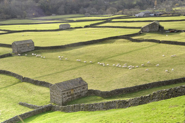 Gunnerside, Swaledale