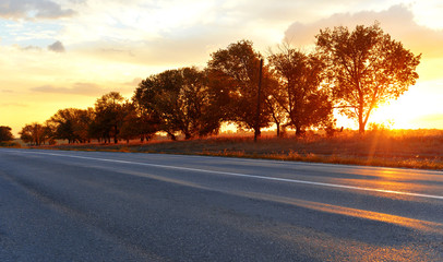 Sunset and road with trees