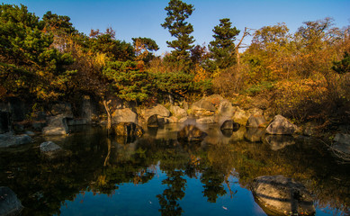 Only reflection