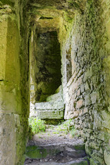 old Irish castle ruins interior