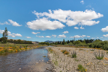 Taylor river in Blenheim, New Zealand 