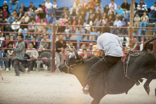Rodeo at Santa Cruz Papalutla, Oaxaca, Mexico
