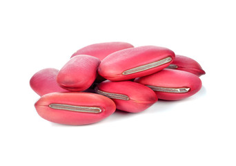 red bean isolated on white background