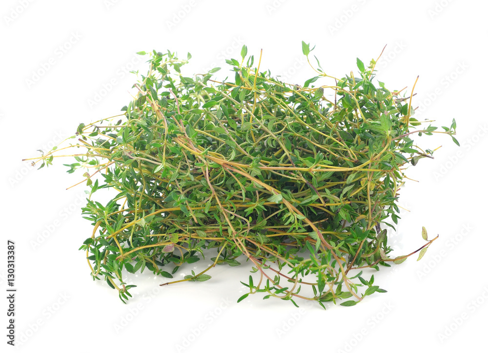 Canvas Prints thyme herb isolated on white background