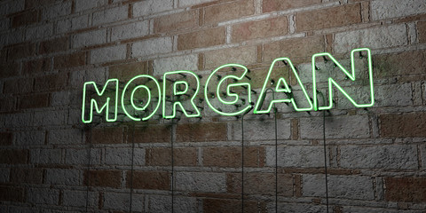 Search Photos Morgan