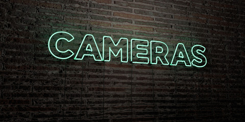 CAMERAS -Realistic Neon Sign on Brick Wall background - 3D rendered royalty free stock image. Can be used for online banner ads and direct mailers..