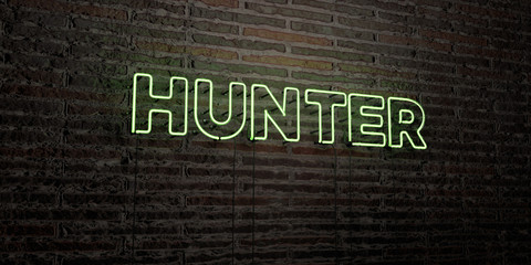 HUNTER -Realistic Neon Sign on Brick Wall background - 3D rendered royalty free stock image. Can be used for online banner ads and direct mailers..