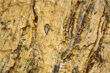 surface of the marble with brown tint