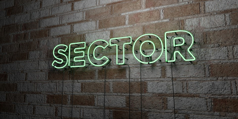 SECTOR - Glowing Neon Sign on stonework wall - 3D rendered royalty free stock illustration.  Can be used for online banner ads and direct mailers..
