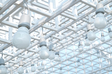 light bulbs hanging down under the outdoor sun roof.
