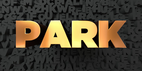 Park - Gold text on black background - 3D rendered royalty free stock picture. This image can be used for an online website banner ad or a print postcard.