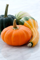 organic summer squash