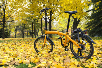 Fototapeta premium Orange folding bike in the forest an autumn day