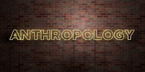 ANTHROPOLOGY - fluorescent Neon tube Sign on brickwork - Front view - 3D rendered royalty free stock picture. Can be used for online banner ads and direct mailers..