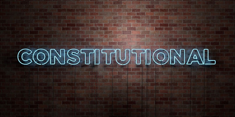 CONSTITUTIONAL - fluorescent Neon tube Sign on brickwork - Front view - 3D rendered royalty free stock picture. Can be used for online banner ads and direct mailers..