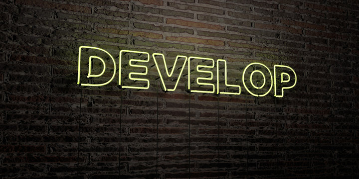 DEVELOP -Realistic Neon Sign on Brick Wall background - 3D rendered royalty free stock image. Can be used for online banner ads and direct mailers..