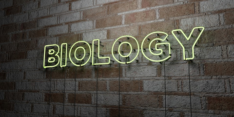 Fototapeta na wymiar BIOLOGY - Glowing Neon Sign on stonework wall - 3D rendered royalty free stock illustration. Can be used for online banner ads and direct mailers..