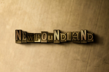 Fototapeta premium NEWFOUNDLAND - close-up of grungy vintage typeset word on metal backdrop. Royalty free stock illustration. Can be used for online banner ads and direct mail.