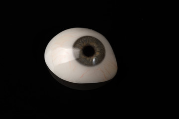 Glass eye prosthetic or Ocular prosthesis on black