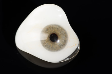 Glass eye prosthetic or Ocular prosthesis on black