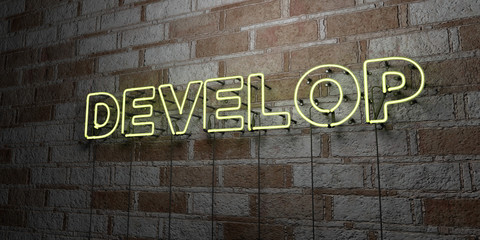 DEVELOP - Glowing Neon Sign on stonework wall - 3D rendered royalty free stock illustration.  Can be used for online banner ads and direct mailers..