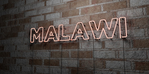 MALAWI - Glowing Neon Sign on stonework wall - 3D rendered royalty free stock illustration.  Can be used for online banner ads and direct mailers..