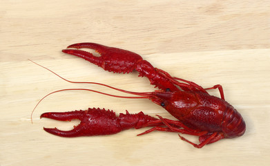 Boiled red crawfish on wood