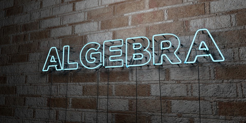 ALGEBRA - Glowing Neon Sign on stonework wall - 3D rendered royalty free stock illustration.  Can be used for online banner ads and direct mailers..