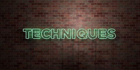 TECHNIQUES - fluorescent Neon tube Sign on brickwork - Front view - 3D rendered royalty free stock picture. Can be used for online banner ads and direct mailers..