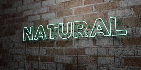 NATURAL - Glowing Neon Sign on stonework wall - 3D rendered royalty free stock illustration.  Can be used for online banner ads and direct mailers..