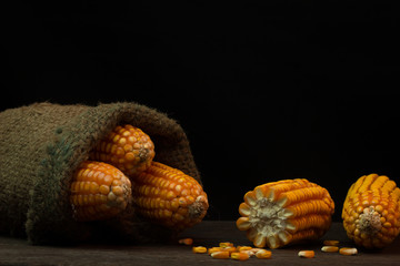 Seed corn or corn on the sack on wood grain brown on a black bac