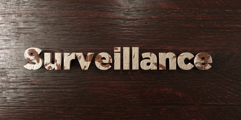Surveillance - grungy wooden headline on Maple  - 3D rendered royalty free stock image. This image can be used for an online website banner ad or a print postcard.