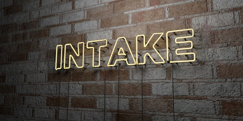 INTAKE - Glowing Neon Sign on stonework wall - 3D rendered royalty free stock illustration.  Can be used for online banner ads and direct mailers..