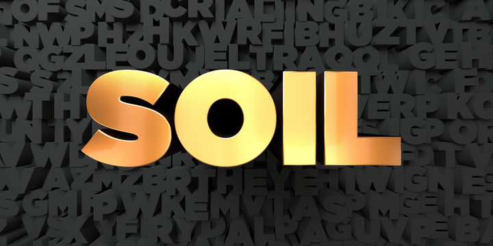Soil - Gold text on black background - 3D rendered royalty free stock picture. This image can be used for an online website banner ad or a print postcard.