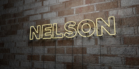 Fototapeta na wymiar NELSON - Glowing Neon Sign on stonework wall - 3D rendered royalty free stock illustration. Can be used for online banner ads and direct mailers..