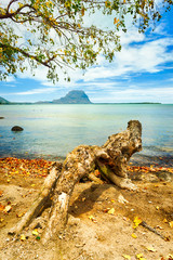 Seascape. Le Morne on a background