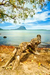 Peel and stick wall murals Le Morne, Mauritius Seascape. Le Morne on a background