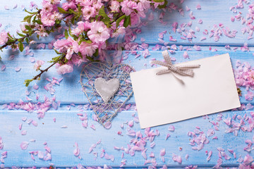 Background  with pink sakura  flowers and empty tag on blue wood