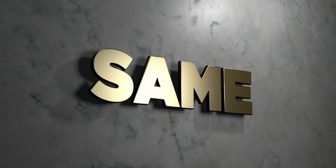 Same - Gold sign mounted on glossy marble wall  - 3D rendered royalty free stock illustration. This image can be used for an online website banner ad or a print postcard.