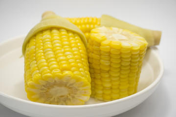 Boiled corn on a plate