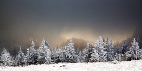 Fototapeta na wymiar amazing winter sunrise through fog in the mountains