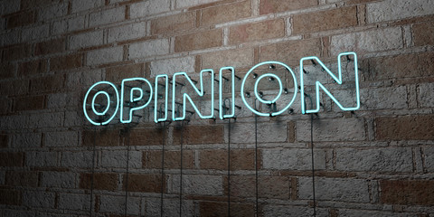 OPINION - Glowing Neon Sign on stonework wall - 3D rendered royalty free stock illustration.  Can be used for online banner ads and direct mailers..
