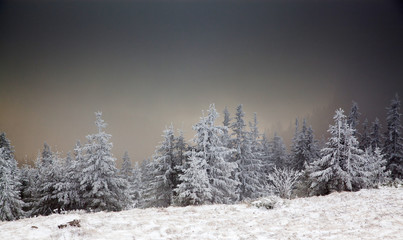 amazing winter sunrise through fog in the mountains