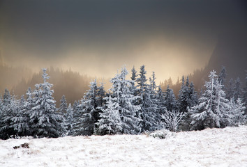 Fototapeta na wymiar amazing winter sunrise through fog in the mountains