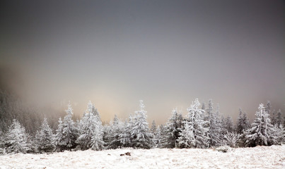 amazing winter sunrise through fog in the mountains
