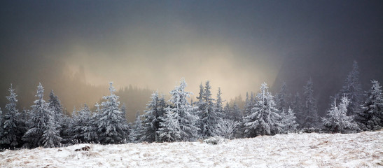 Fototapeta premium amazing winter sunrise through fog in the mountains